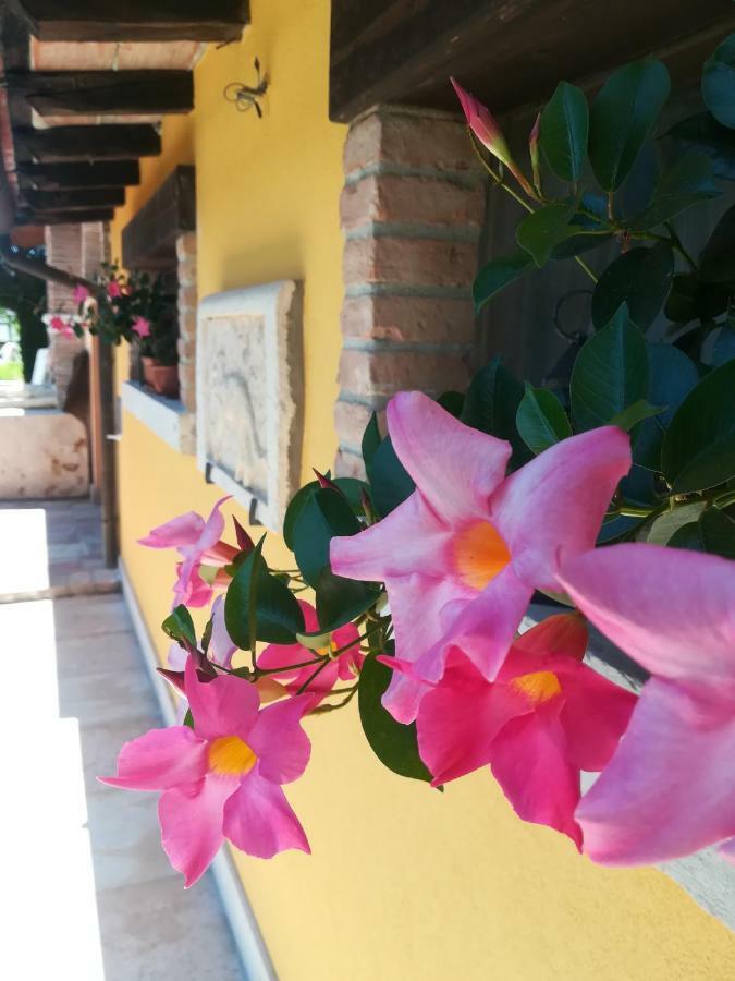 La Brigata Apartments Yellow House Cavallino-Treporti Esterno foto
